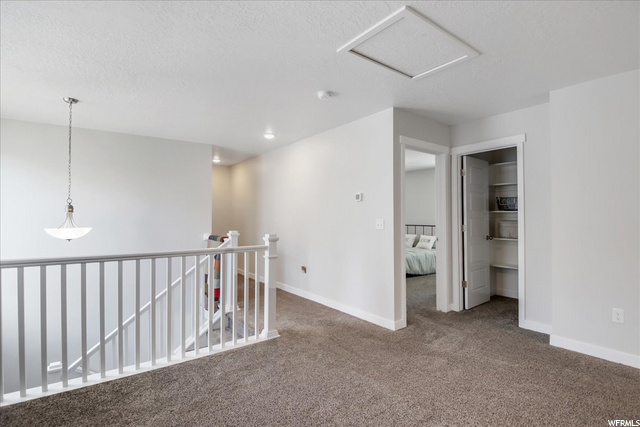 Flex/Loft