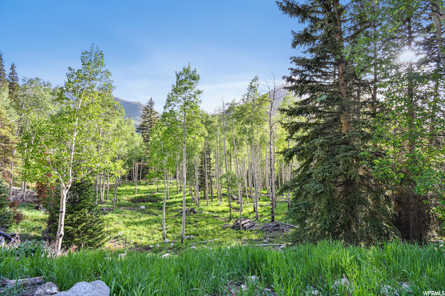 13695 E Weber Canyon Rd, Oakley, UT 84055 — photo 11