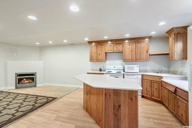 Basement Kitchen