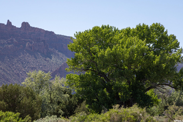 3340 E Watchman Trl, Moab, UT 84532 — photo 2