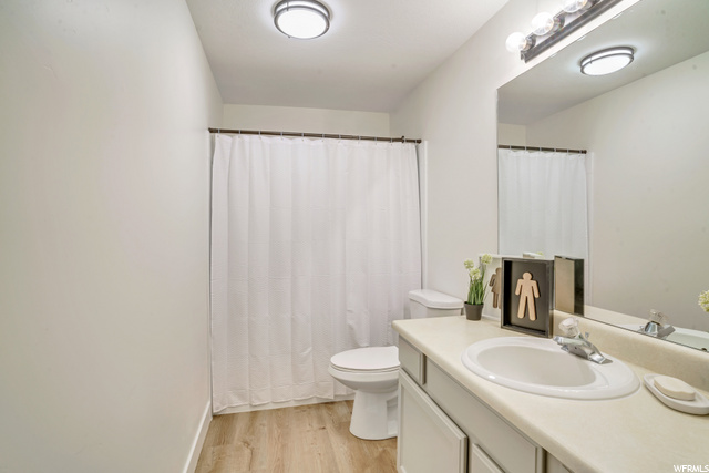 Basement Bathroom