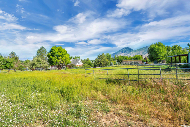 Pasture