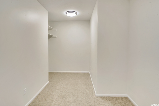 Den in Basement Storage room