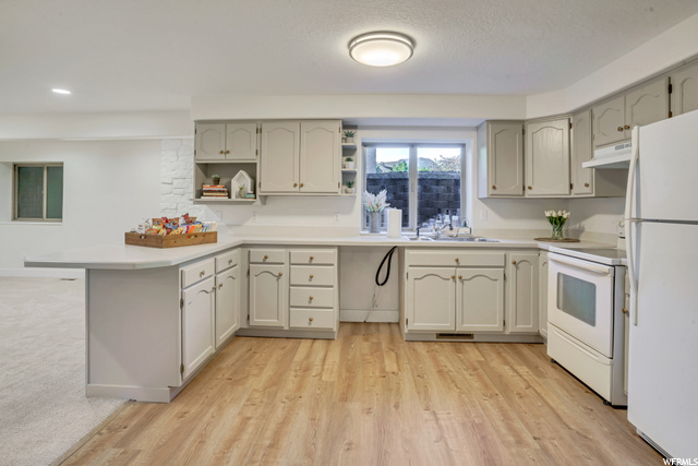 Basement Kitchen