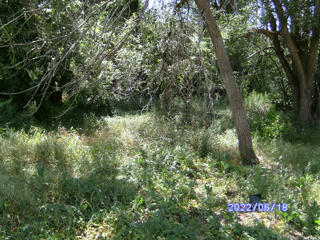 702 E Edgewood, South Ogden, UT 84403 — photo 4