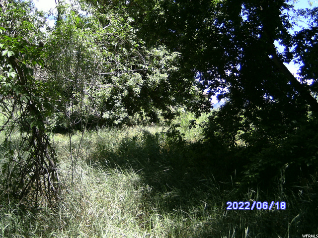 702 E Edgewood, South Ogden, UT 84403 — photo 5