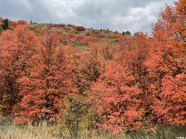 1400 E 450 S, Smithfield, UT 84335 — photo 5
