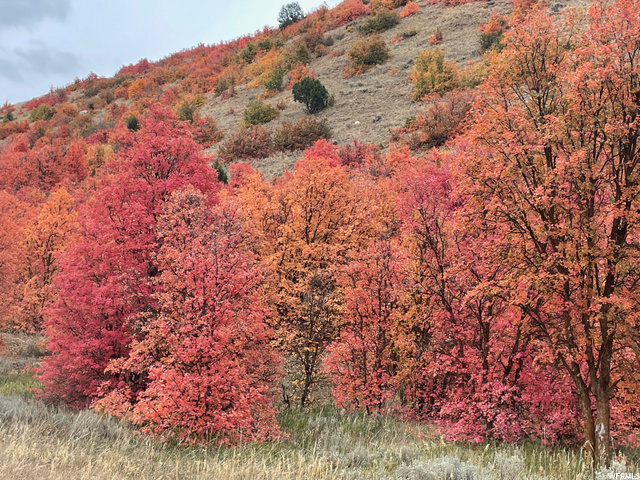 1400 E 450 S, Smithfield, UT 84335 — photo 4