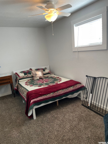 Down Stairs Bedroom