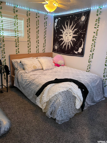 Down Stairs Bedroom