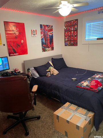 Down Stairs Bedroom