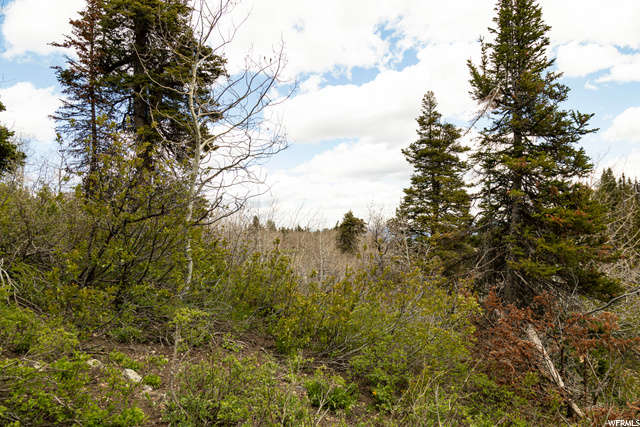 1292 Alexander Rd #D101, Wanship, UT 84017 — photo 9