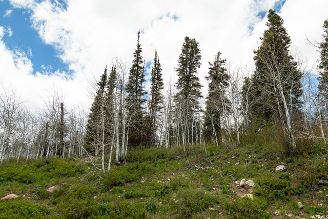 1292 Alexander Rd #D101, Wanship, UT 84017 — photo 6
