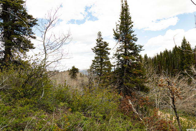 1292 Alexander Rd #D101, Wanship, UT 84017 — photo 11