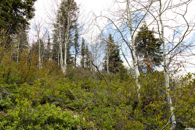 1292 Alexander Rd #D101, Wanship, UT 84017 — photo 8