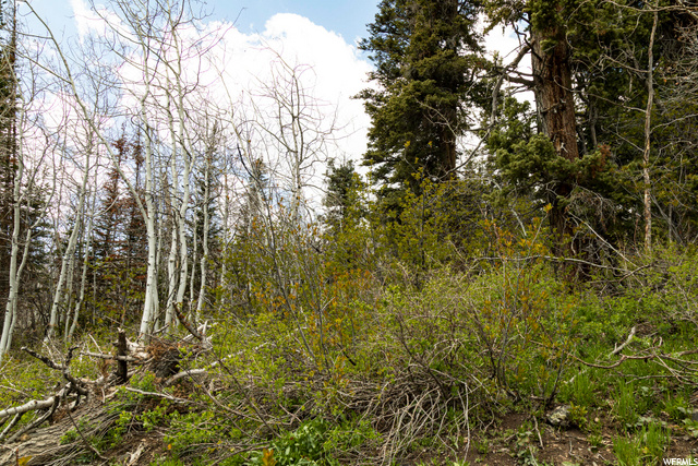1292 Alexander Rd #D101, Wanship, UT 84017 — photo 10