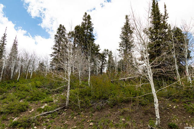 1292 Alexander Rd #D101, Wanship, UT 84017 — photo 7