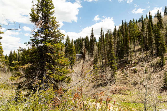 1292 Alexander Rd #D101, Wanship, UT 84017 — photo 4