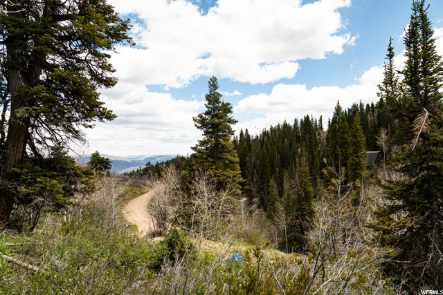 1292 Alexander Rd #D101, Wanship, UT 84017 — photo 12