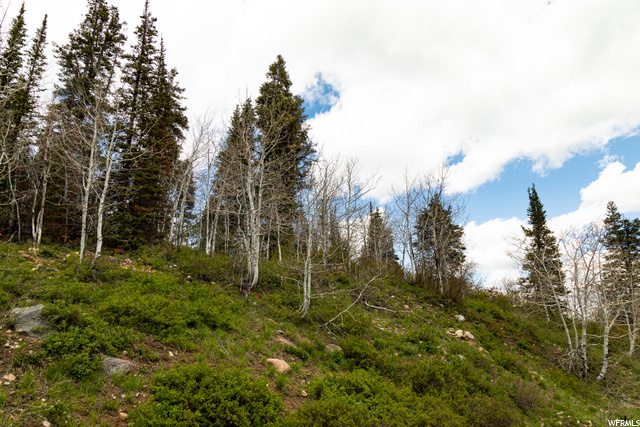 1292 Alexander Rd #D101, Wanship, UT 84017 — photo 5