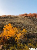 #1, Paris, ID 83261 — photo 8