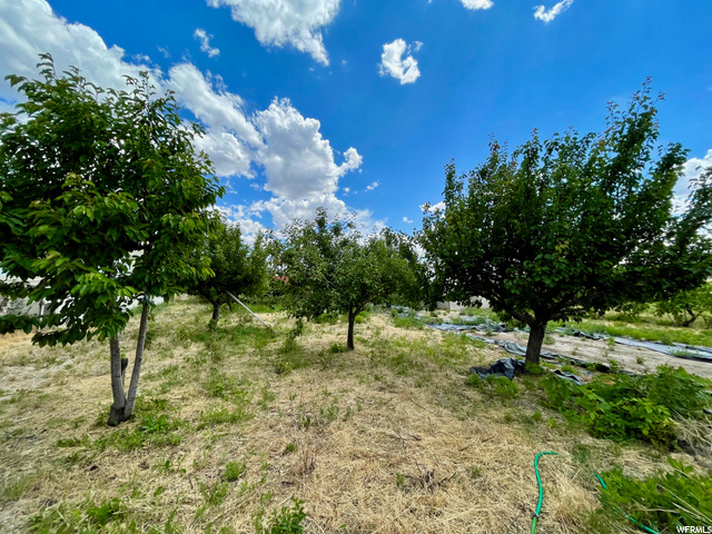 599 S 200 E, Mona, UT 84645 — photo 4