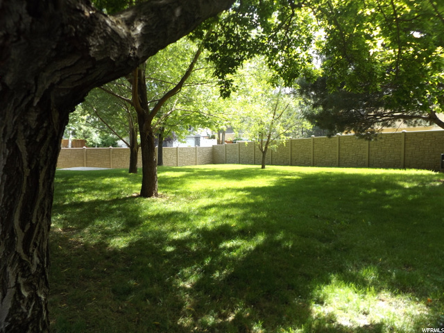 Beautiful shaded yard
