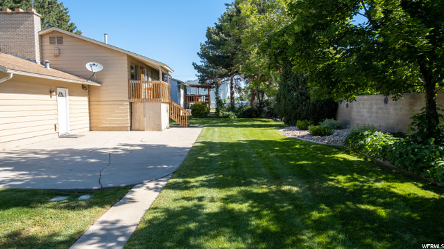 Amazing yard with detailed sprinkling system
