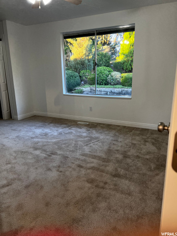 Master Bedroom looking into Beautiful Back yard