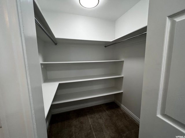 Master Walk In  Closet