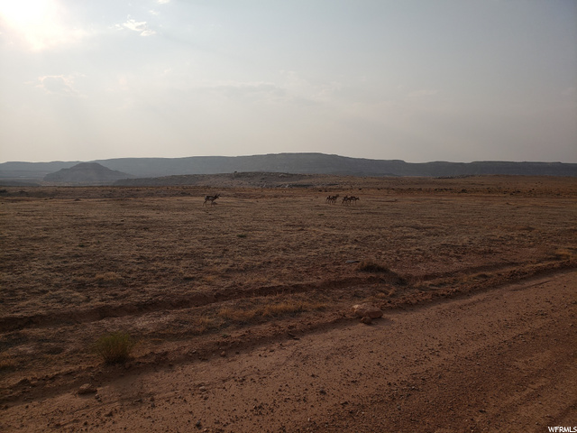 Cisco, UT 84515 — photo 2