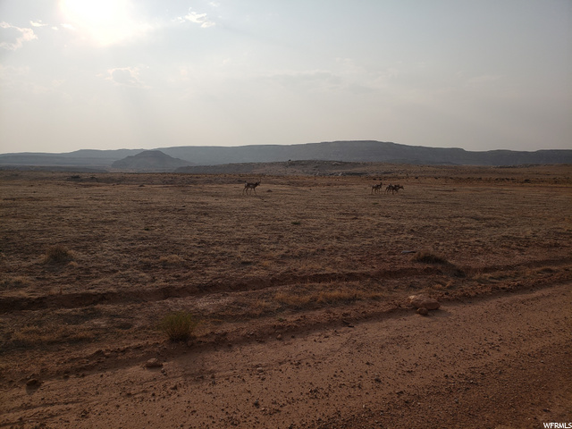 Cisco, UT 84515 — photo 3