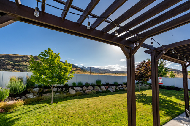 Backyard View #5
