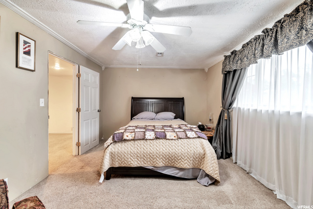 Basement Bedroom