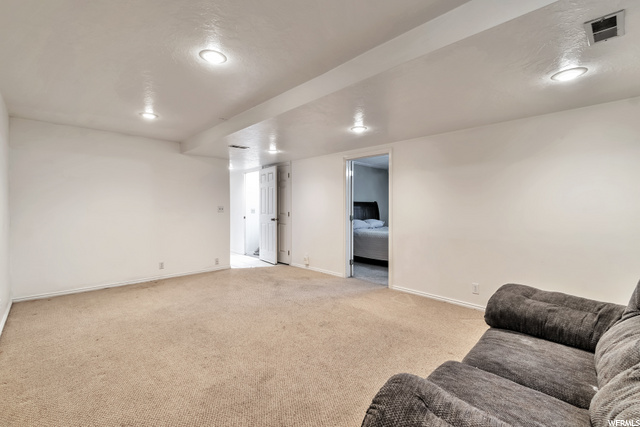 Basement Living Room