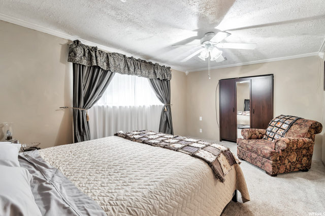 Basement Bedfroom