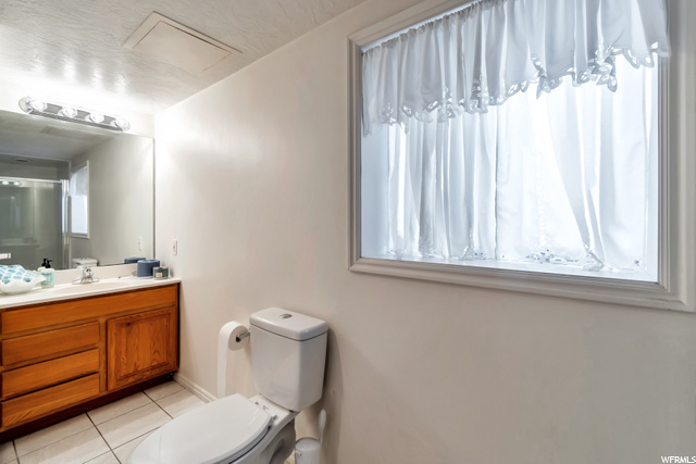 Basement Bathroom
