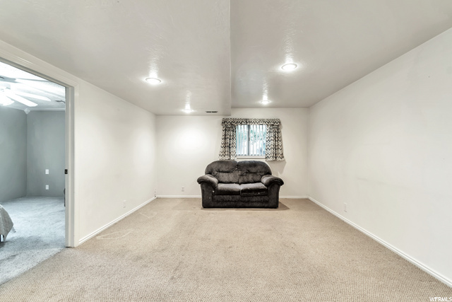 Basement Living Room