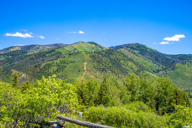 5954 N Maple Ridge Trl, Oakley, UT 84055 — photo 10
