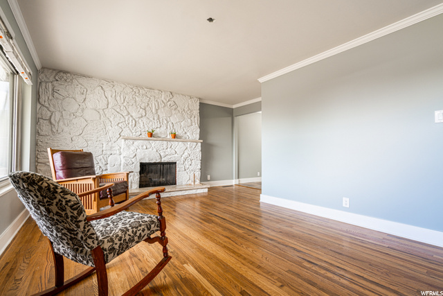 Living Room, Fireplace