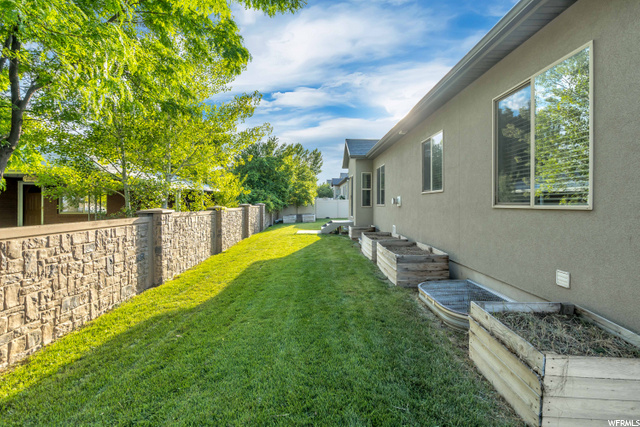 Back of home - yard