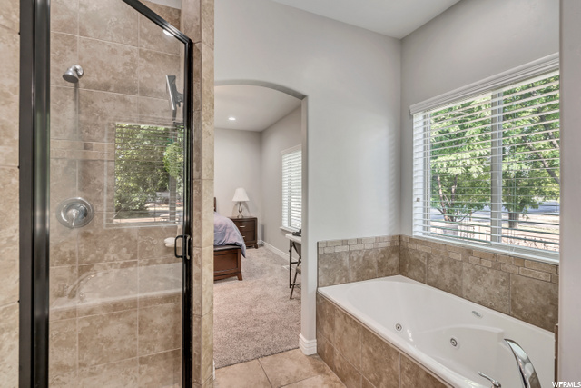 Master Bath - Shower - jetted Tub