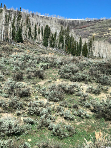 #26, Scofield, UT 84526 — photo 4