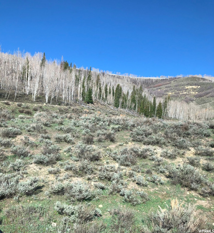 #26, Scofield, UT 84526 — photo 6