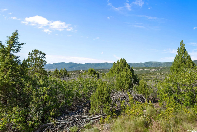 #164, Mt Pleasant, UT 84647 — photo 6