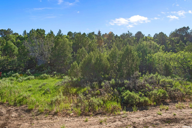 #165, Mt Pleasant, UT 84647 — photo 3