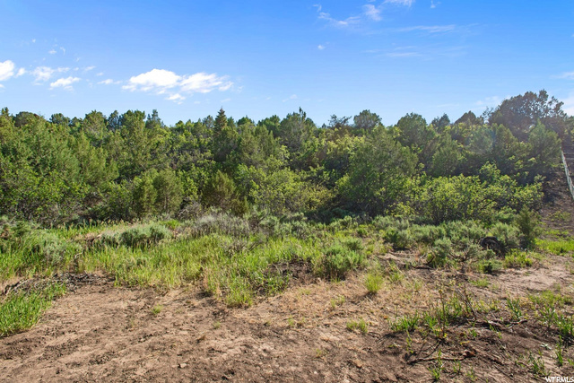 #165, Mt Pleasant, UT 84647 — photo 11