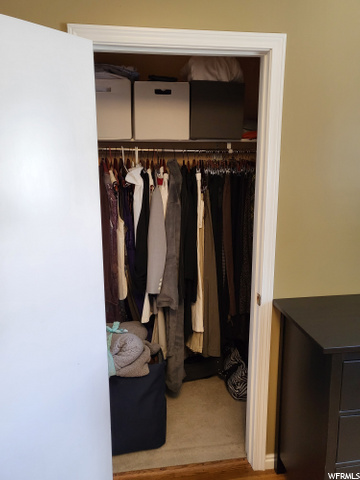 Second closet in Master