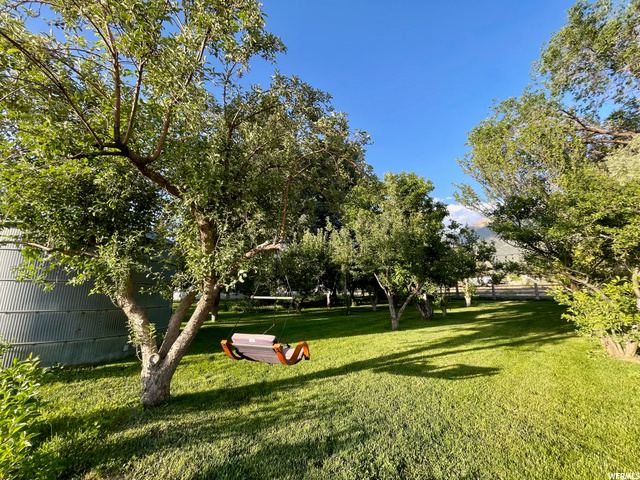 224 S 200 W, Mona, UT 84645 — photo 7