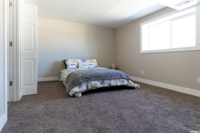 Basement Auxiliary Primary Suite